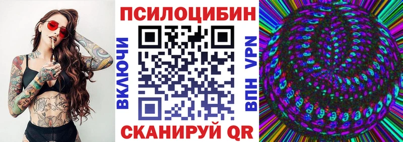 дарк нет состав  Шимановск  Галлюциногенные грибы прущие грибы 